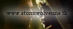 stormwolverine3.gif